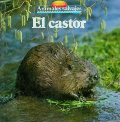 El castor (eBook, ePUB)