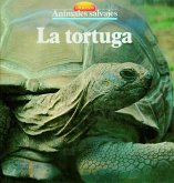 La tortuga (eBook, ePUB)