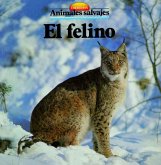 El felino (eBook, ePUB)