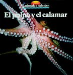 El pulpo y el calamar (eBook, ePUB)