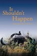 It Shouldn't Happen (eBook, ePUB) - Bild 1