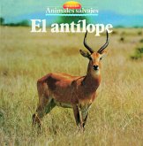 El antílope (eBook, ePUB)