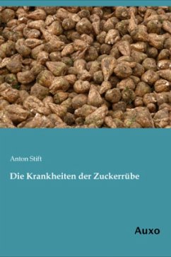 Die Krankheiten der Zuckerrübe - Stift, Anton