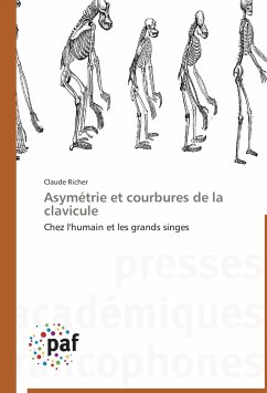Cover Asymétrie et courbures de la clavicule
