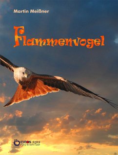 Flammenvogel (eBook, ePUB) - Meißner, Martin