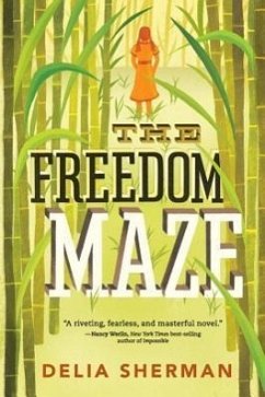 The Freedom Maze - Sherman, Delia