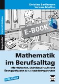 Mathematik im Berufsalltag (eBook, PDF)