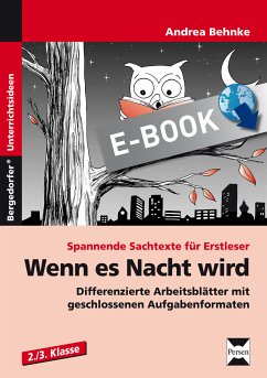 Wenn es Nacht wird (eBook, PDF) - Behnke, Andrea