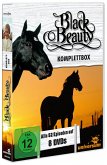 Black Beauty - Komplettbox DVD-Box