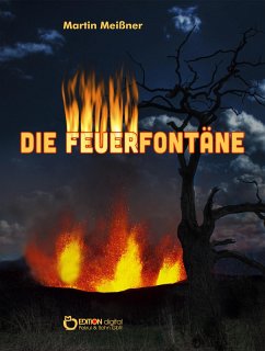 Cover Die Feuerfontäne (eBook, ePUB)