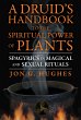 A Druid's Handbook to the Spiritual... - Bild 1
