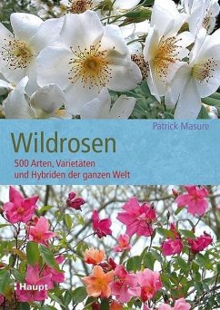 Wildrosen - Masure, Patrick