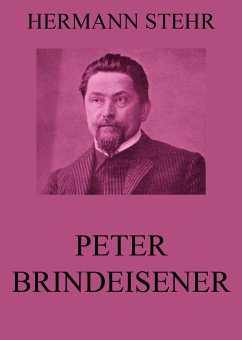 Peter Brindeisener (eBook, ePUB) - Stehr, Hermann