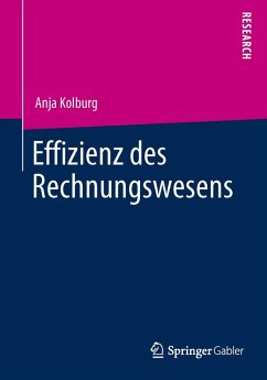 Effizienz des Rechnungswesens - Kolburg, Anja