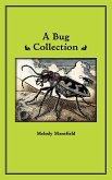 A Bug Collection