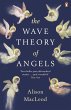 The Wave Theory of Angels (eBook, ePUB) - Bild 1