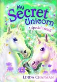 My Secret Unicorn: A Special Friend (eBook, ePUB)