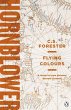 Flying Colours (eBook, ePUB) - Bild 1