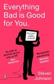 Everything Bad is Good for You (eBook, ePUB)