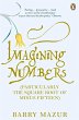 Imagining Numbers (eBook, ePUB) - Bild 1
