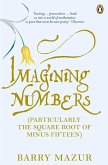Imagining Numbers (eBook, ePUB)