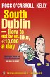 South Dublin - How to Get by on, Like,... - Bild 1