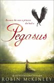 Pegasus (eBook, ePUB)