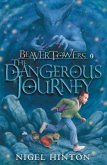 Beaver Towers: The Dangerous Journey (eBook, ePUB)