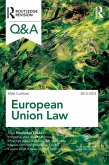 Q&A European Union Law 2013-2014 (eBook, PDF)