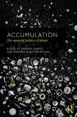 Accumulation (eBook, PDF)