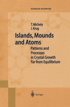 Islands, Mounds and Atoms - Michely, Thomas;Krug, Joachim