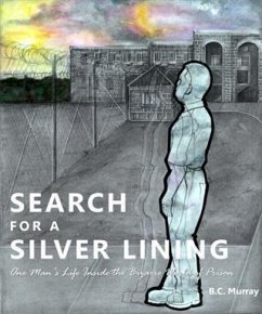 Cover Search for a Silver Lining (eBook, ePUB)