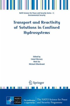 Transport and Reactivity of Solutions in Confined Hydrosystems