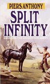 Split Infinity (eBook, ePUB)