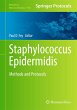 Staphylococcus Epidermidis - Bild 1