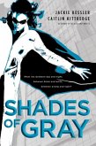 Shades of Gray (eBook, ePUB)