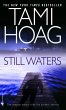 Still Waters (eBook, ePUB) - Bild 1