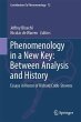Phenomenology in a New Key: Between... - Bild 1