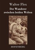 Der Wanderer zwischen beiden Welten