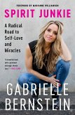 Spirit Junkie (eBook, ePUB)