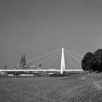 Rheinbrücken\Rhine Bridges