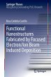 Functional Nanostructures Fabricated by... - Bild 1