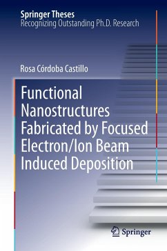 Functional Nanostructures Fabricated by Focused Electron/Ion Beam Induced Deposition - Córdoba Castillo, Rosa