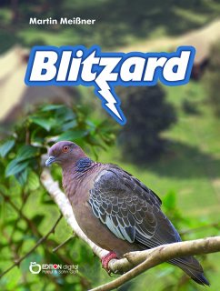 Blitzard (eBook, ePUB) - Meißner, Martin