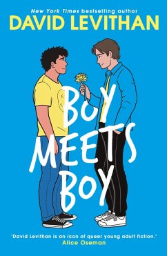 Boy Meets Boy (eBook, ePUB) - Levithan, David