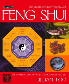Feng Shui (eBook, ePUB) - Too, Lillian