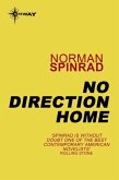 No Direction Home (eBook, ePUB)