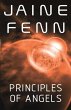 Principles of Angels (eBook, ePUB) - Bild 1