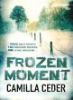 Frozen Moment (eBook, ePUB) - Bild 1