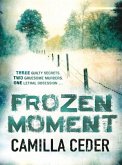 Frozen Moment (eBook, ePUB)